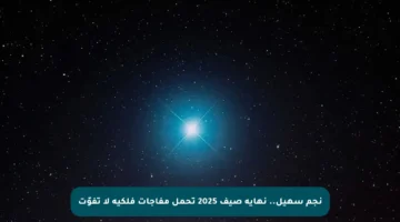 نجم سهيل.. نهاية صيف 2025 تحمل مفاجآت فلكية لا تفوّت